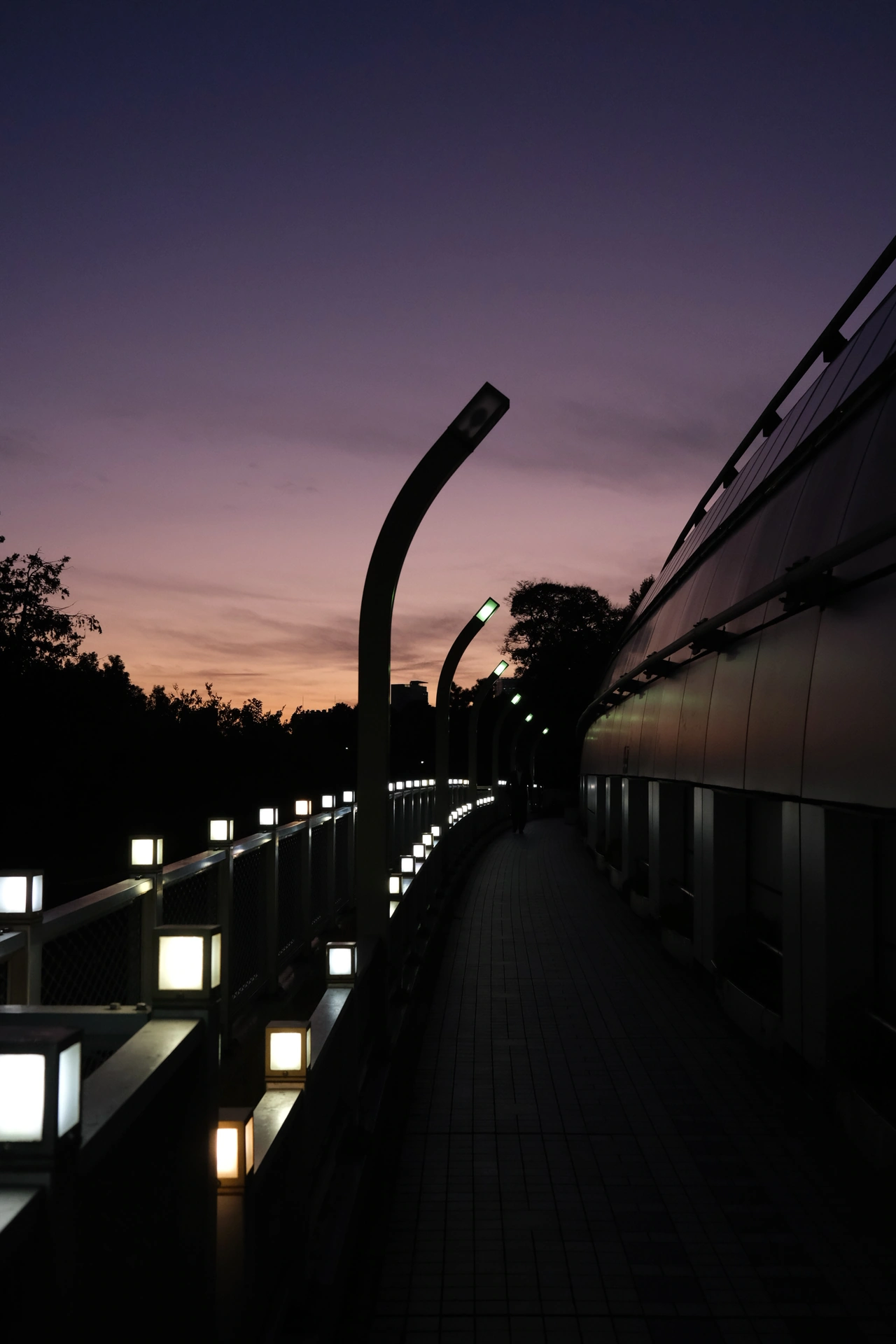 A lantern-lit walkway beneath a violet evening sky